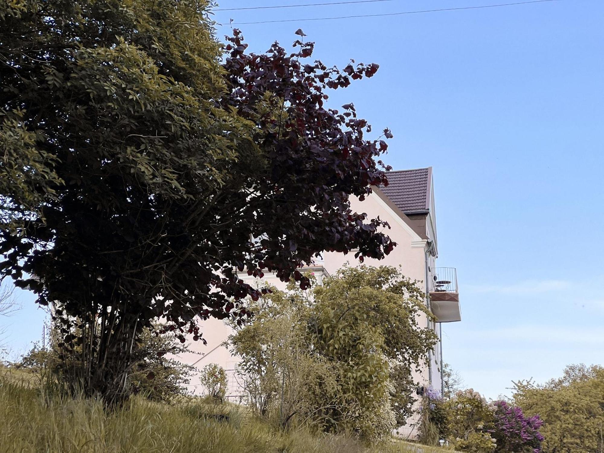 Villa Ueberblick Nalbach المظهر الخارجي الصورة